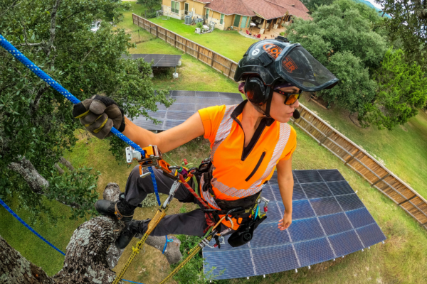 A woman with safety harness on a tree