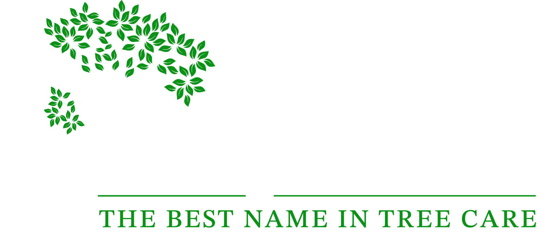 Amputree