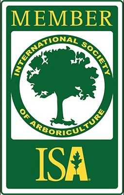 ISA logo
